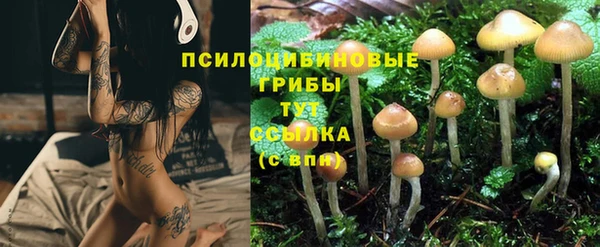 мяу мяу мука Абдулино