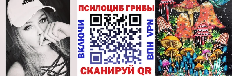 Псилоцибиновые грибы Cubensis  Эртиль 